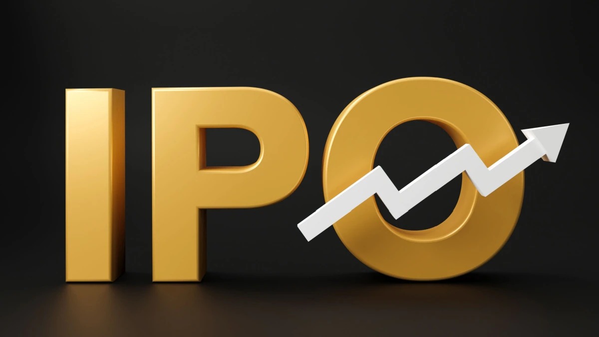 India IPO 2024 Performance: भारतीय शेयर बाजार में आईपीओ का जलवा, जानिए एक साल में कितने हुए लिस्टेड ?