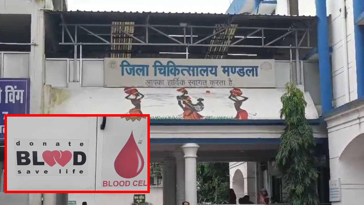 आदिवासी जिले में खून का धंधा: जरूरतमंदों से ब्लड के बदले वसूलते थे रकम, तीन की सेवाएं समाप्त, 11 को नोटिस