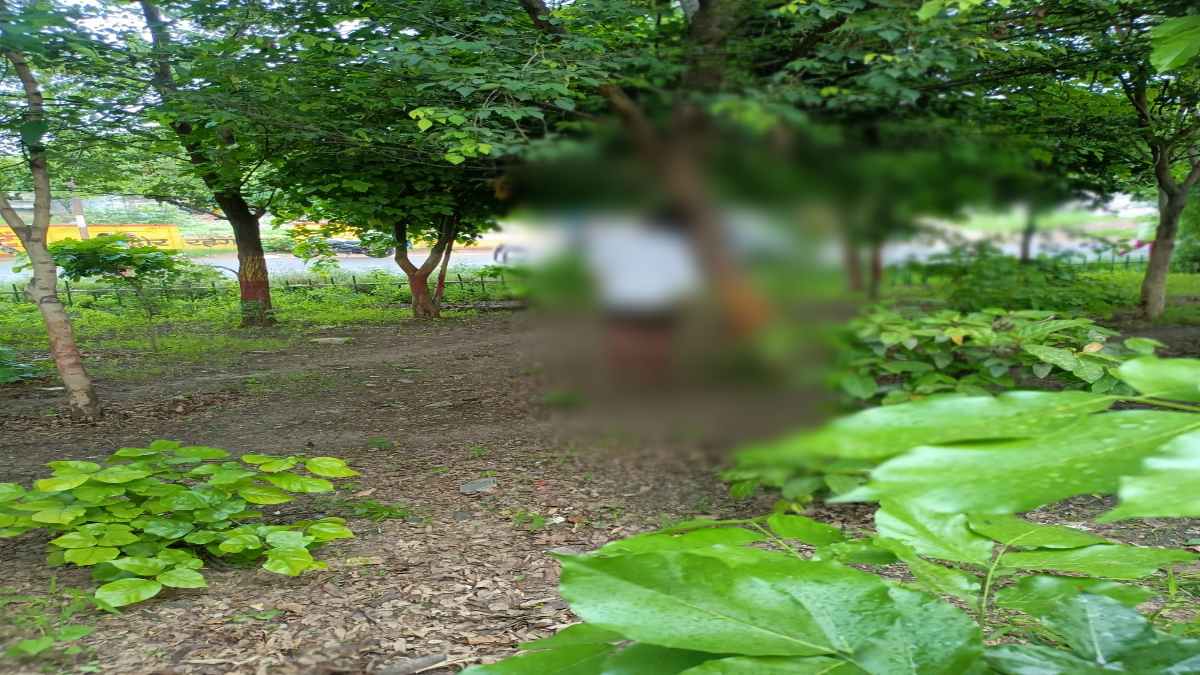 पेड़ पर लटका मिला का युवक का शव: जेब में मिले फोन में कई Miss Call, जांच में जुटी पुलिस