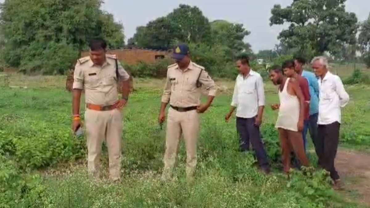 फिर हुई मानवता शर्मसार: सड़क के किनारे मिला नवजात का शव, जांच में जुटी पुलिस
