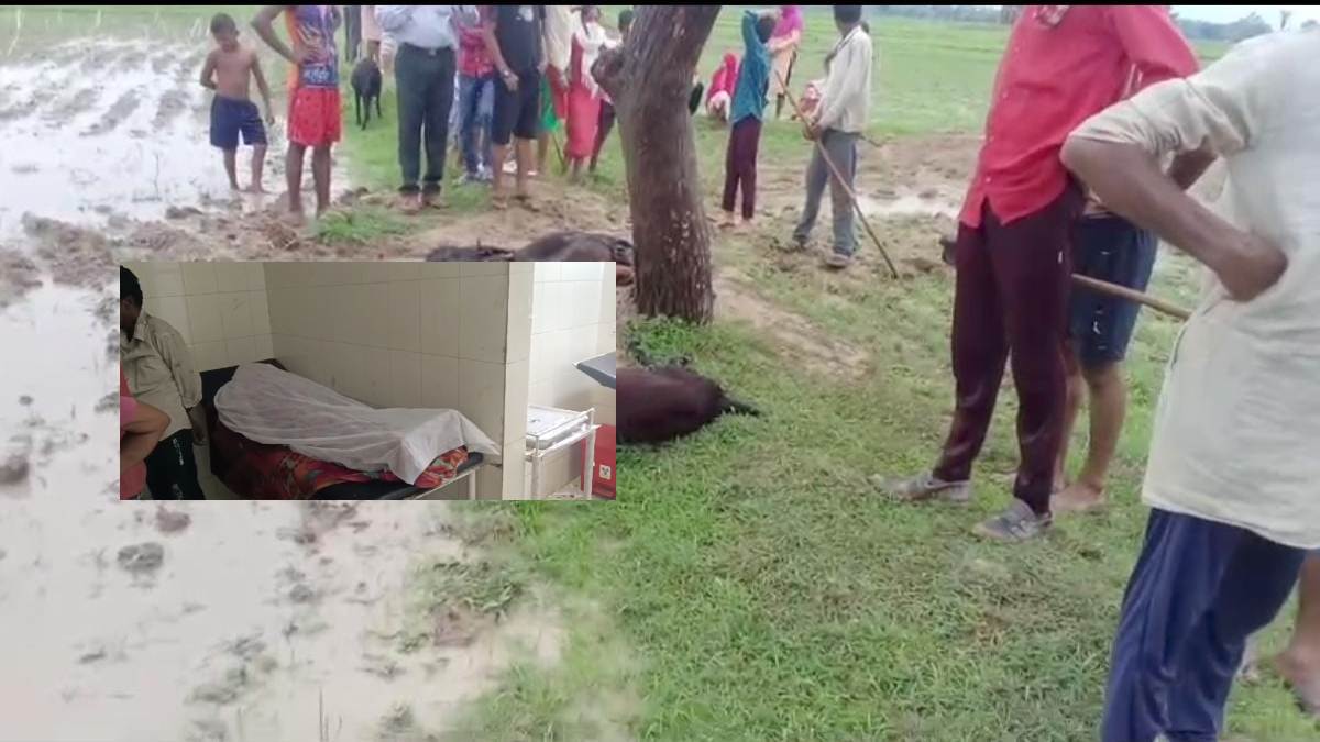 MP में आकाशीय बिजली का कहर: डबरा में खेत में काम कर रहे 2 लोग अस्पताल में भर्ती, पन्ना में किसान समेत 5 बकरियों की मौत