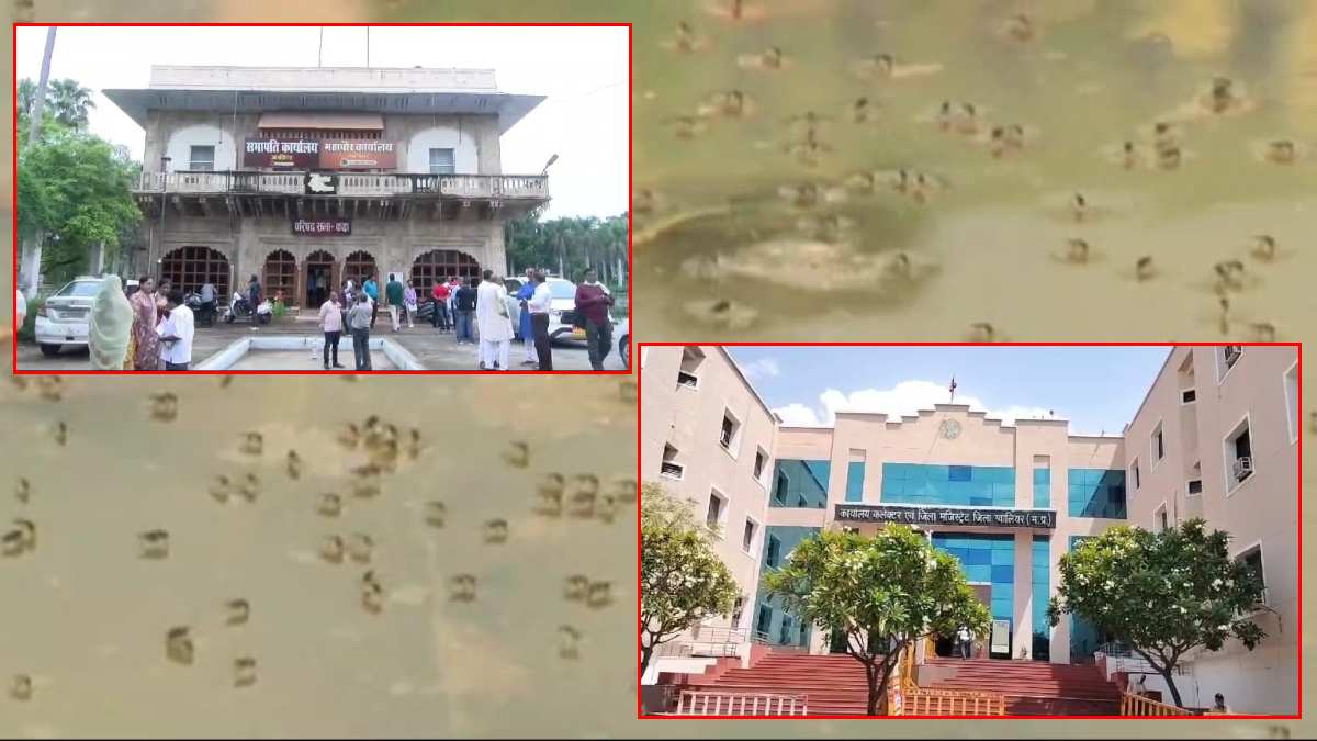 ग्वालियर में डेंगू के डंक का कहर: जिन पर रोकथाम की जिम्मेदारी, वही लापरवाह, देखें तस्वीर