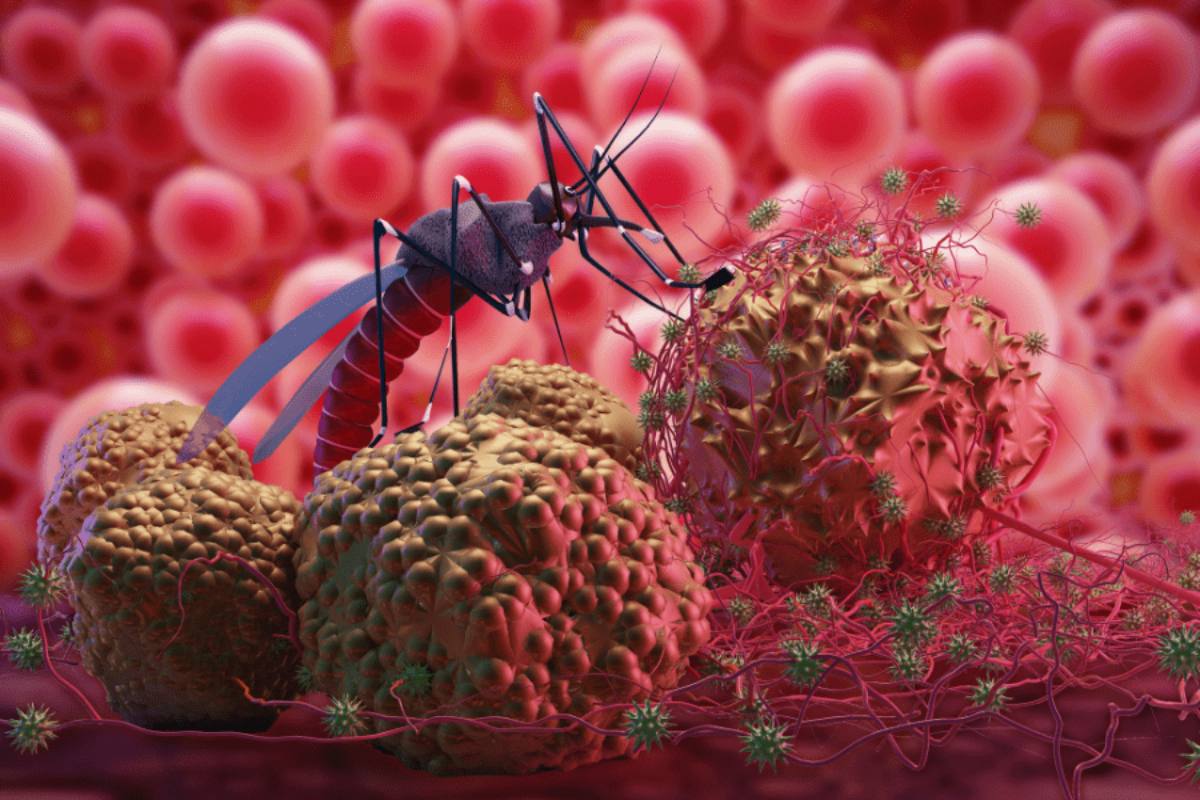 Zika virus: पुणे में जीका के 5 नए केस, 3 गर्भवती महिलाओं के साथ कुल 11 मरीज, Pregnant Women को है सबसे ज्यादा खतरा, जानें क्या हैं लक्षण