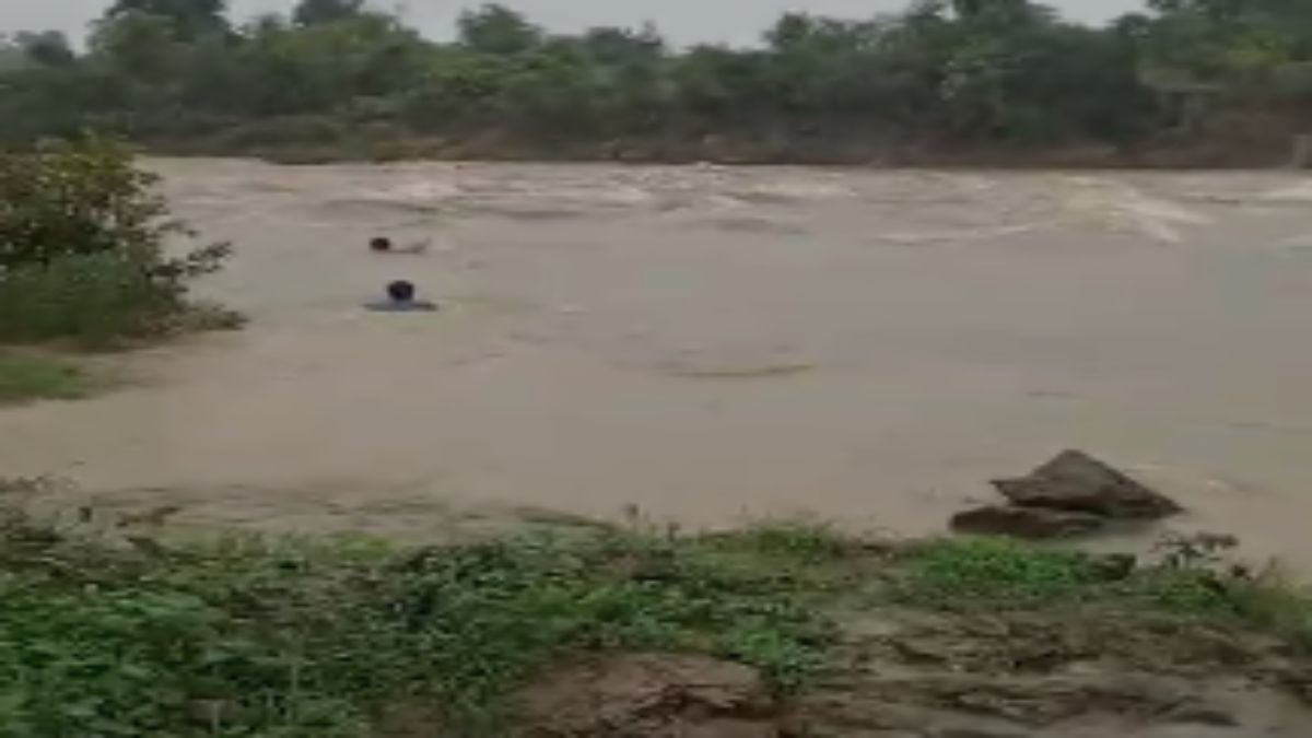 लापरवाही की हदें पार: उफनती नदी में कूदे नशे में धुत दो युवक, Video वायरल   