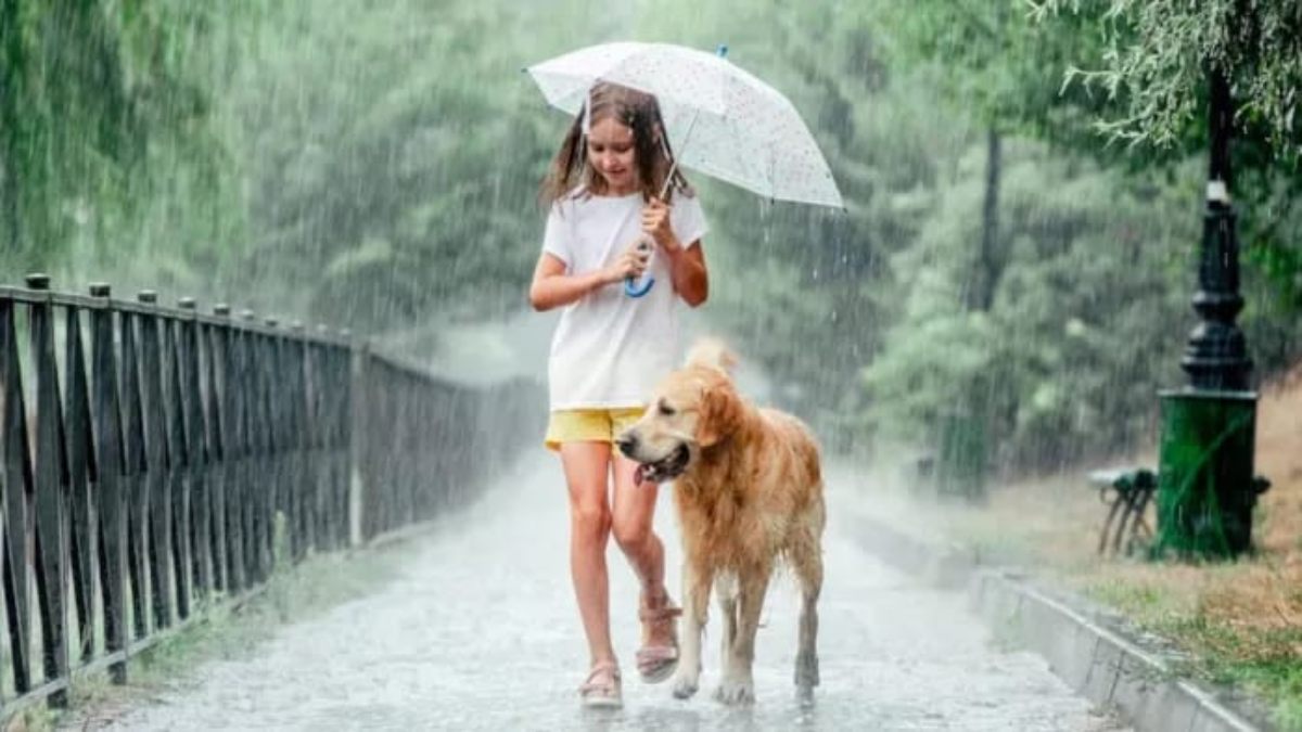 Pets Care in Monsoon: बारिश के मौसम में इस तरह रखें अपने पालतू जानवरों का ख्याल, जिससे वो बीमारियों से रहें सुरक्षित…