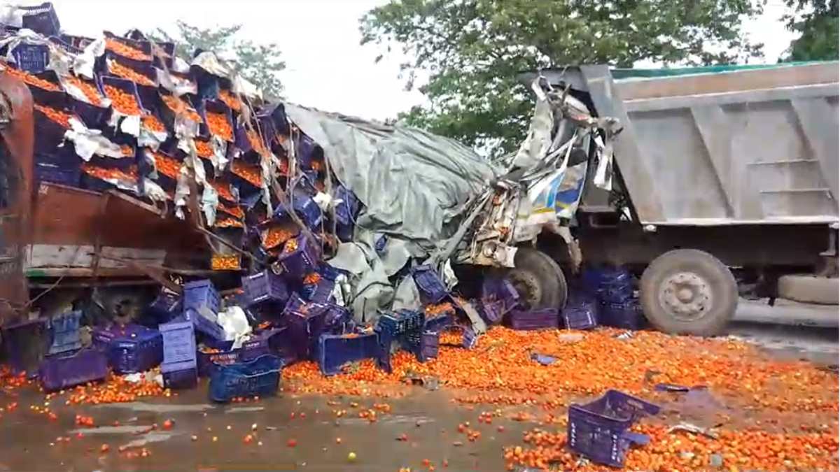 टमाटर की लूट: तेज रफ्तार हाईवा ने टमाटर से भरी ट्रक को मारी टक्कर, ग्रामीणों में मची लूटने की होड़, मौके पर पहुंची पुलिस…