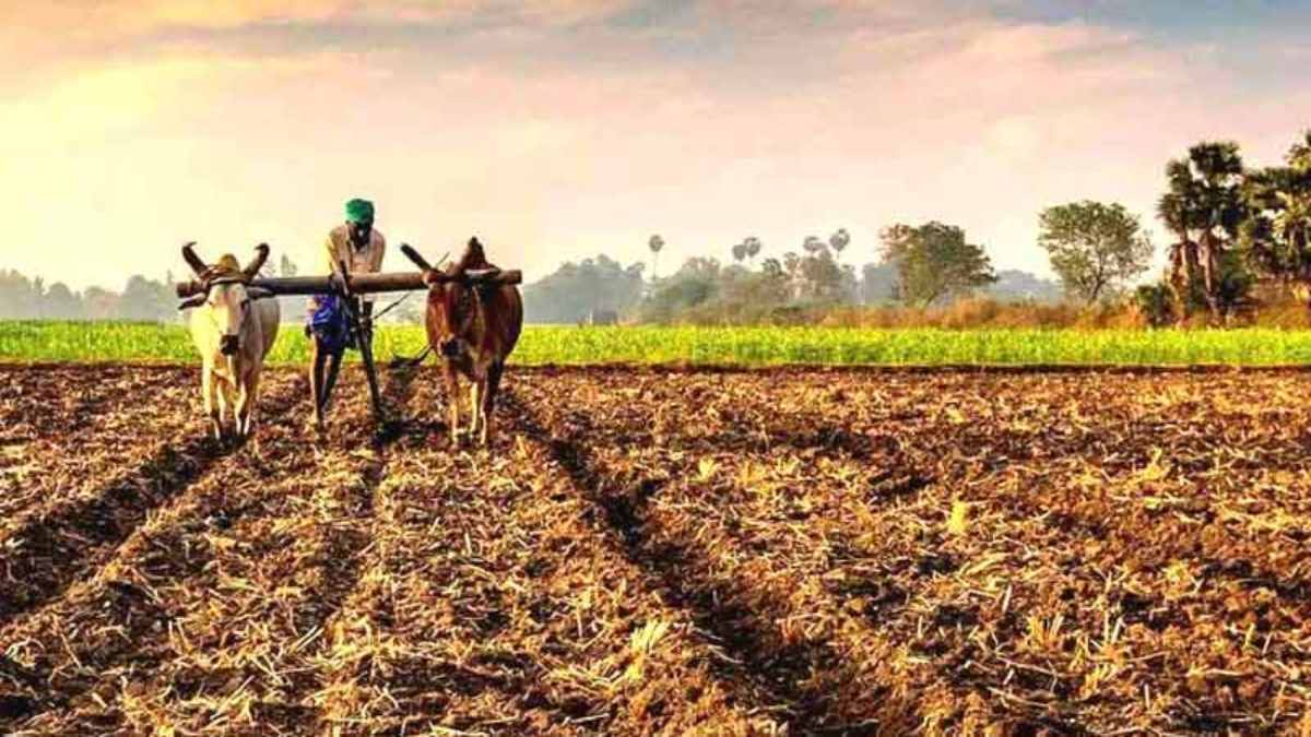 E Kisan Upaj Nidhi Yojana 2024 : अब खेती में होगा फायदे का सौदा, इस योजना के तहत किसानों को अपनी उपज के मिलेंगे अच्छे दाम…