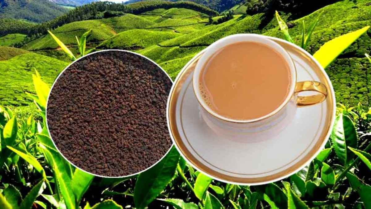 इन कंपनियों के शेयर्स ने भरी उड़ान, लंबे अरसे बाद 10 प्रतिशत से ज्यादा की तेजी, जानिए डिटेल