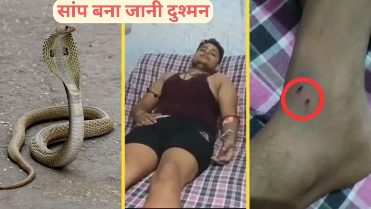 इस शख्स को हर शनिवार काटता है सांप, यह है इसका कारण, डॉक्टर भी हैरान …