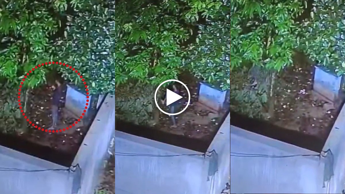 CG live suicide video: युवक ने पहले लगाए सिगरेट के कश, फिर फंदे पर लटक कर दी जान, इलाके में फैली सनसनी