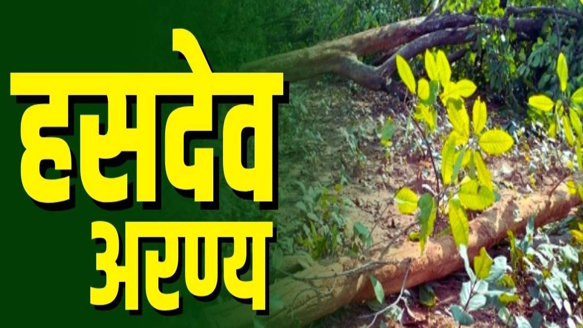 हसदेव अरण्य में पर्यावरण क्षरण पर लोकसभा में हुई चर्चा, वन विभाग ने 50 लाख से अधिक वृक्षारोपण की दी जानकारी