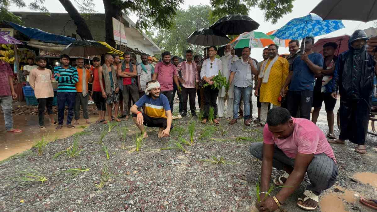 बदहाल सड़क को लेकर कांग्रेसियों का अनोखा प्रदर्शन, रास्ते में रोपा लगाकर जताया विरोध