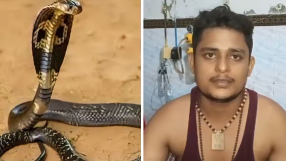 युवक को महीने में सांप ने 5 बार डसा, परेशान होकर रिश्तेदार के यहां गया तो वहां भी नहीं छोड़ा, डॉक्टर भी हैरान