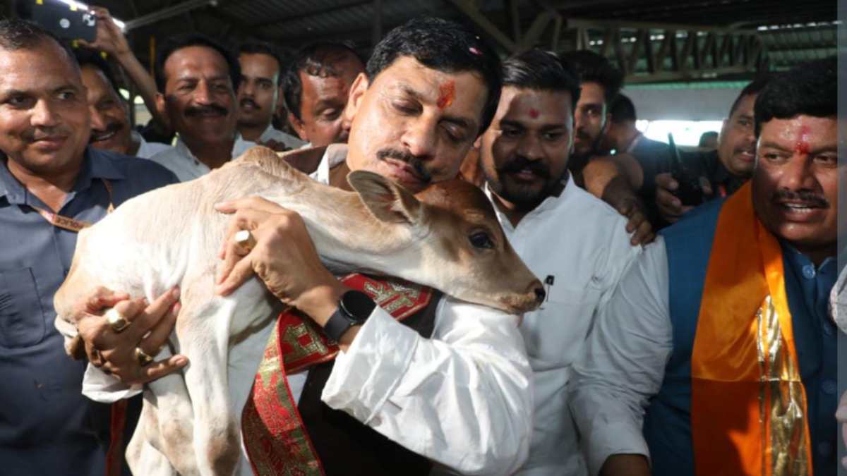 गौशाला से ‘एक पेड़ मां के नाम’ अभियान का शुभारंभ, सीएम मोहन यादव ने गौमाता की पूजा-अर्चना, नन्हे बछड़ों को किया दुलार