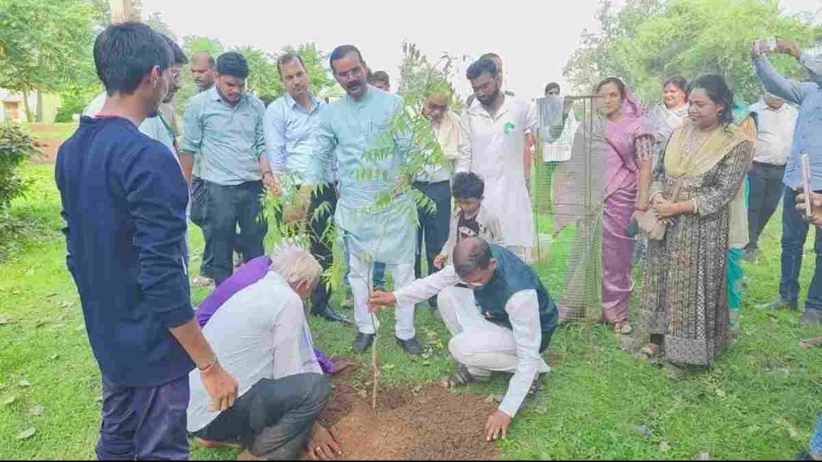 पर्यावरण प्रेमियों की अनूठी पहल : बिना सरकारी खर्च के बना रहे 6 किमी का नीम कॉरिडोर, सड़क के दोनों ओर रोपे 500 पाैधे