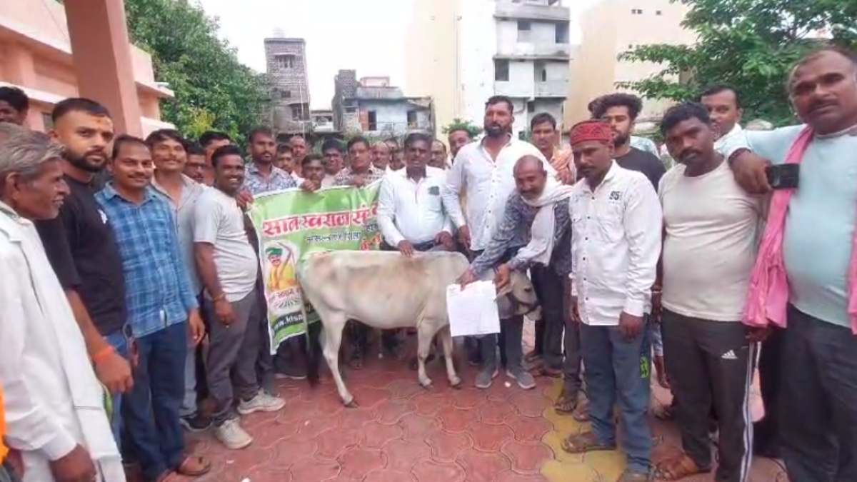 किसान का अनोखा प्रदर्शन: मूंग खरीदी समेत 7 मांगों को लेकर पहुंचे SDM कार्यालय, अधिकारी नहीं मिले तो गौ माता को सौंपा आवेदन