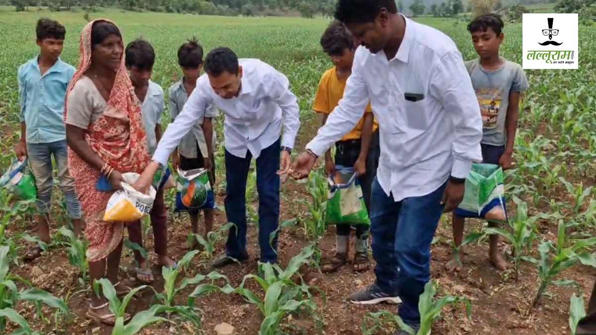 नकुलनाथ बने किसान: खेत में खाद डालते नजर आए पूर्व सांसद, Video Viral