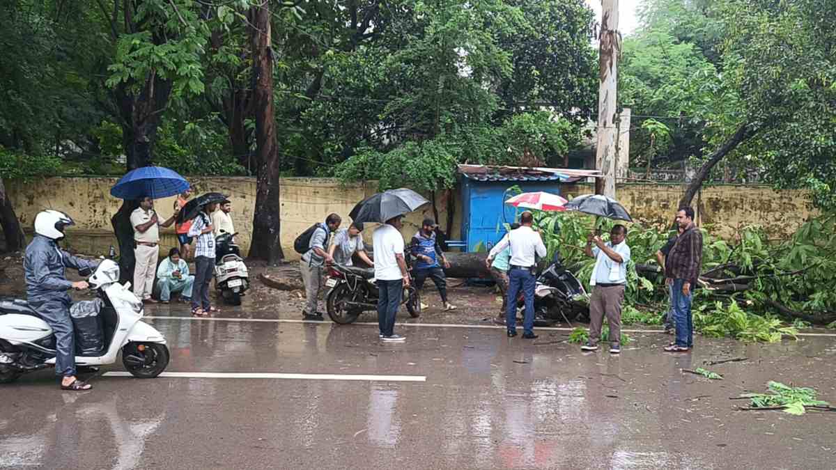 सांसद के बंगले के बाहर गिरा विशाल पेड़, चपेट में आने से महिला घायल, अन्य दो वाहन क्षतिग्रस्त