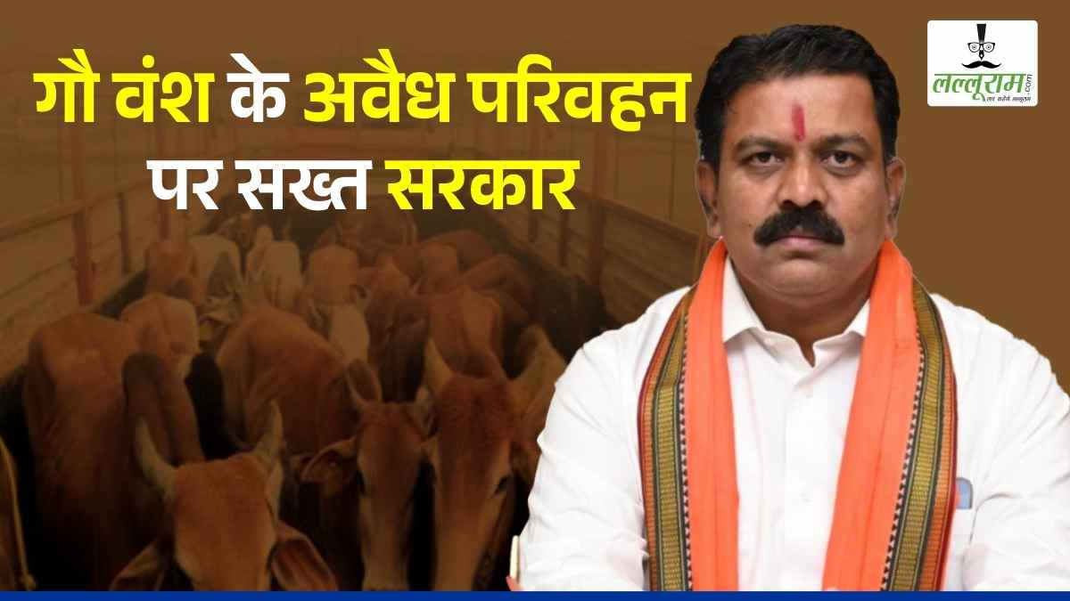 गौ वंश के अवैध परिवहन पर सरकार सख्त : सात साल तक की सजा और 50 हजार रुपए जुर्माने का प्रावधान, जिस रूट पर अवैध परिवहन वहां के एसपी और थाना प्रभारी का सीआर होगा खराब, जानिए नए नियम…