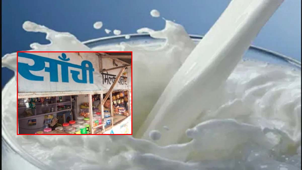 Milk Price Hike: MP में महंगा हुआ दूध, सांची दुग्ध संघ ने बढ़ाए दाम, इस दिन से लागू होंगी नई दरें