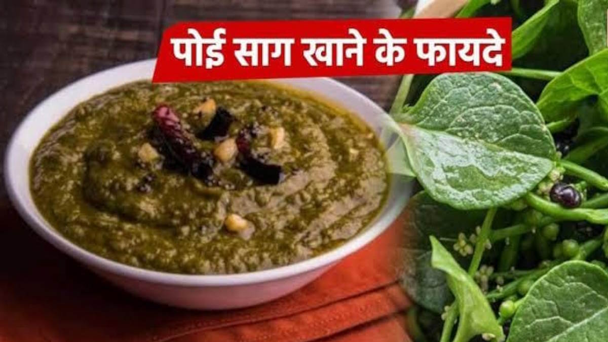 मानसून में मिलने वाली पोई भाजी होती है बहुत स्वादिष्ट और फायदेमंद, जानिए इसे बनाने का तरीका…