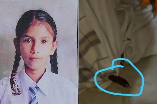 रामपुरा फूल : 10 साल की बच्ची को सांप ने काटा, जन्मदिन पर हुई मौत