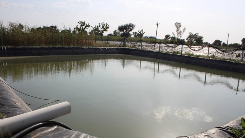 Rajasthan News: सिंचाई की समस्या होगी दूर किसानों को फार्म पौण्ड के लिए मिलेगा 1 लाख 35 हजार रुपये तक का अनुदान