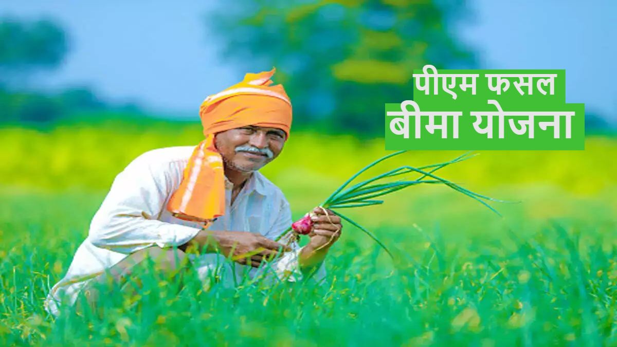 प्रधानमंत्री फसल बीमा योजना की बढ़ाई गई तिथि, जानिए कब तक है किसानों के पास मौका