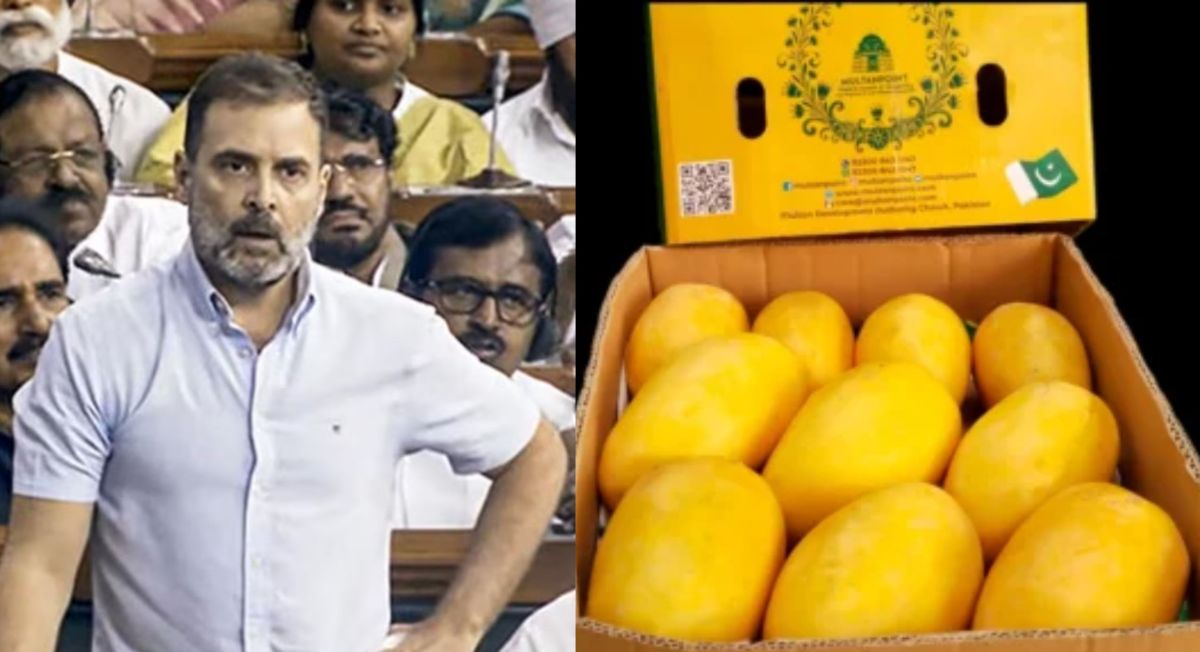 Rahul Gandhi: राहुल गांधी को पाकिस्तान ने गिफ्ट में दिया ‘आम’, BJP बोली- कांग्रेस सांसद का PAK से हैं ‘नापाक रिश्ते’- Mangoes Politics