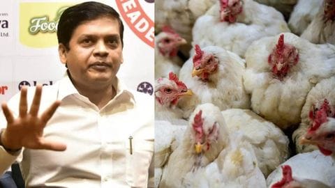 बर्ड फ्लू : बीएमसी कमिश्नर ने कहा… अगर कोई प्रभावित इलाकों से चिकन बेचता है तो कार्रवाई की जाएगी