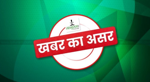 Chhattisgarh News: ‘छोटे झाड़ के जंगल’ की जमीन का नामंतरण करने वाली तहसीलदार के खिलाफ होगी जांच, कलेक्टर ने दिए आदेश… ये दस्तावेज भी मिले
