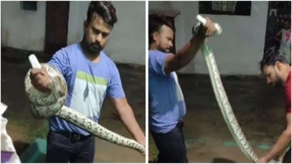 आधी रात जब घर में घुसा अजगर, दहशत में आया परिवार, मदद के लिए डायल 100 को लगाया फोन, फिर…  