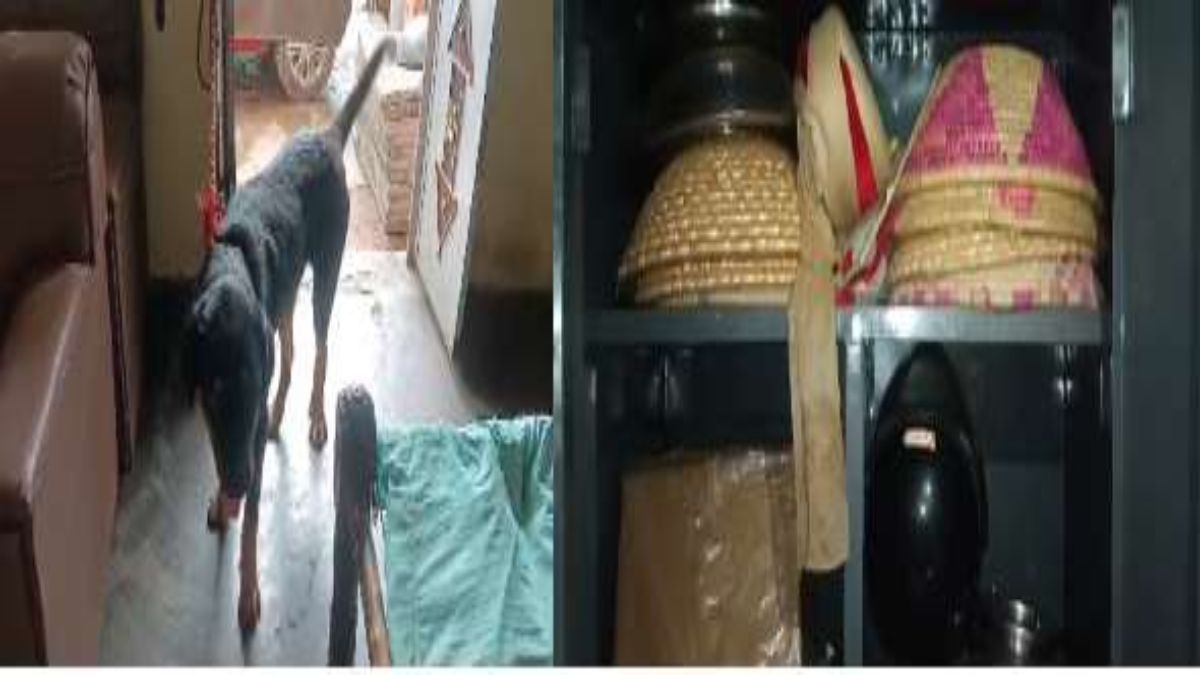 कुत्ते के सामने चाेरों ने घर पर बाेला धावा: आलमारी का ताला तोड़कर चुरा ले गए लाखों के जेवरात, पुलिस खंगाल रही CCTV फुटेज