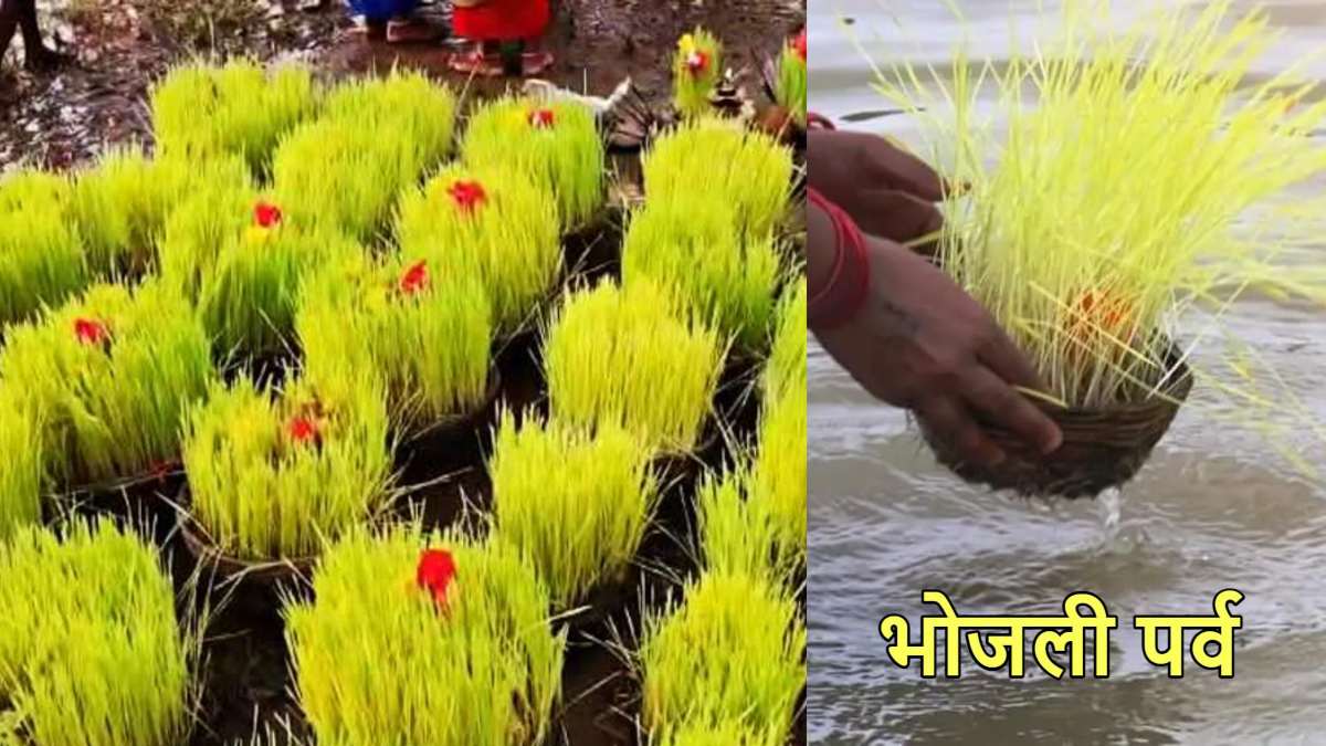 भाईचारे और सद्भावना का प्रतीक है भोजली पर्व, छत्तीसगढ़ में आज धूमधाम से निकली जाएगी शोभा यात्रा