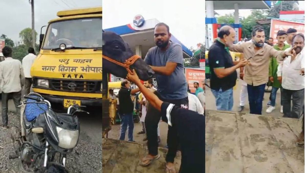 आवारा मवेशी पकड़ने गए निगम कर्मचारियों से गुंडागर्दीः कर्मचारी की कॉलर पकड़ी और जान से मारने की दी धमकी, गाड़ी से मवेशियों को जबरदस्ती उतारा