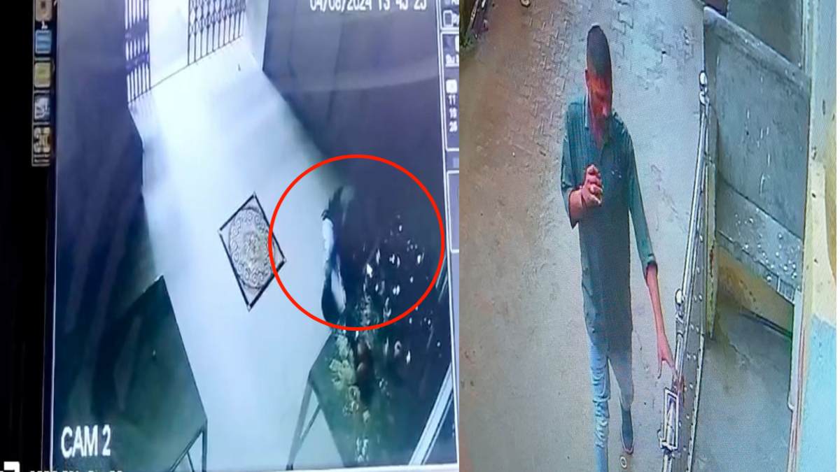 जैन मंदिर से दिनदहाड़े चोरी: दर्शन करने के बहाने उड़ा ले गया दान पेटी, CCTV में कैद