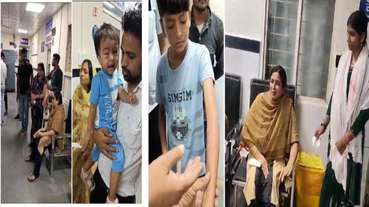 आवारा कुत्तों का आतंकः एक के बाद एक 6 लोगों को काटा, एक साल के मासूम को भी नोचा