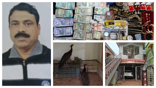 ओडिशा सतर्कता विभाग ने ‘करोड़पति’ वन रेंज अधिकारी को किया गिरफ्तार, फार्महाउस से 4 मोर जब्त
