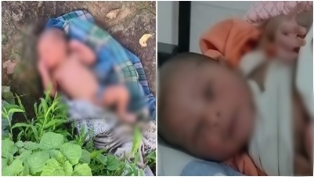 मां मेरा क्या कसूर? जंगल में नाजुक अवस्था में मिला नवजात, झाड़ियों में मरने के लिए फेंका