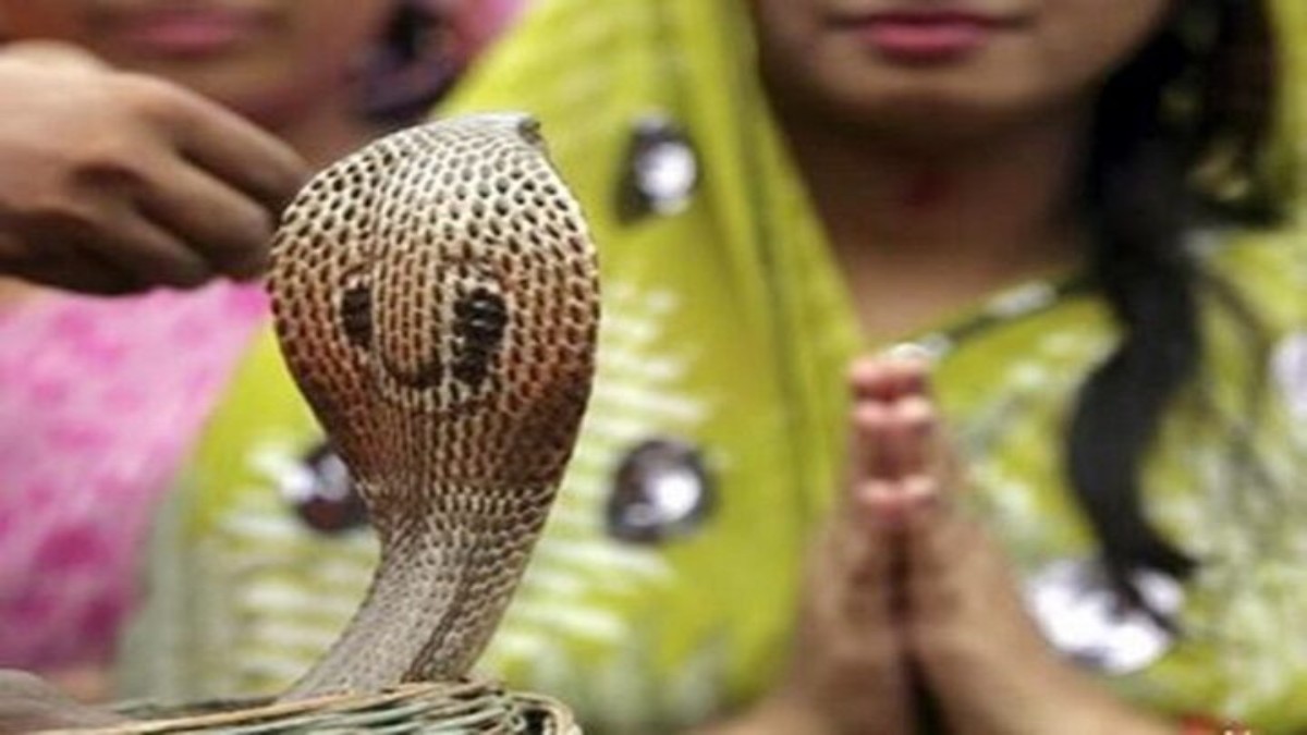 Nag Panchami 2024: नाग पंचमी क्यों मनाई जाती है? कब से हुई इसकी शुरुआत… जानिए इसकी पौराणिक कहानी