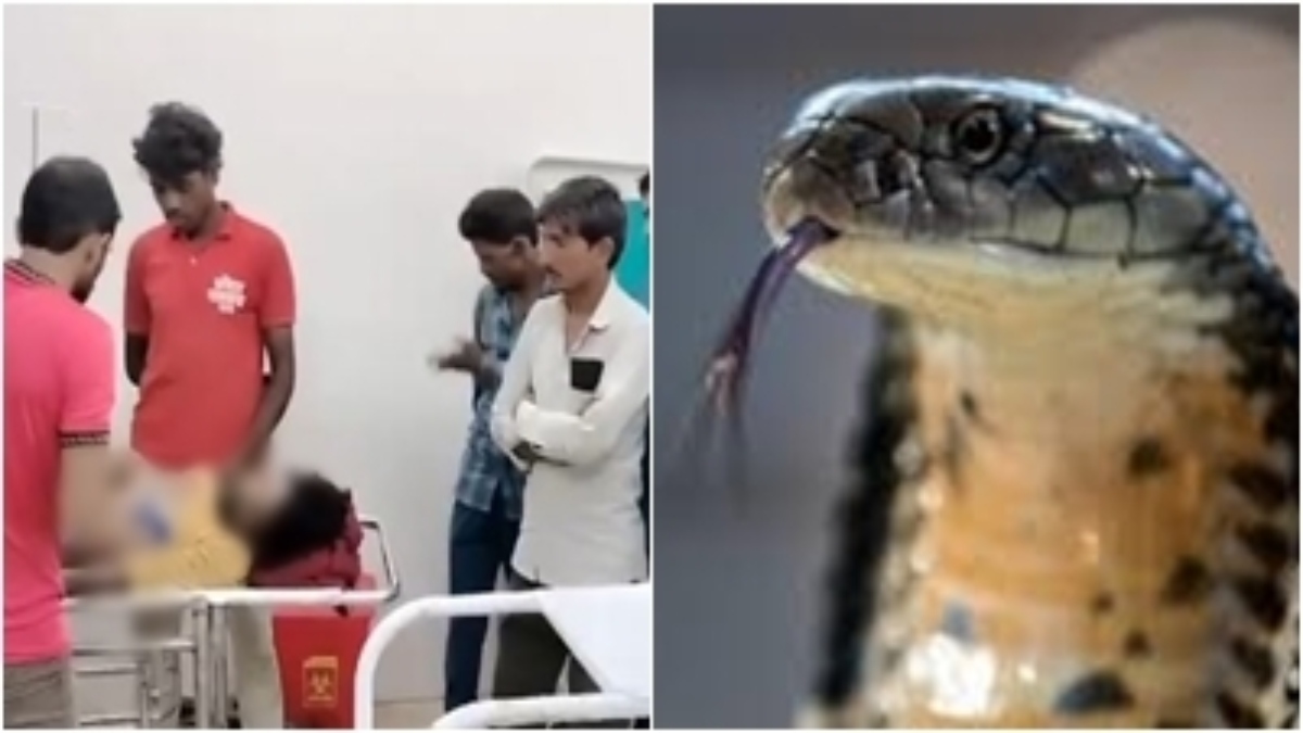 ये कैसा अंधविश्वास? युवक को जहरीले सांप ने काटा, मौत के बाद भी परिजन कराते रहे झाड़-फूंक