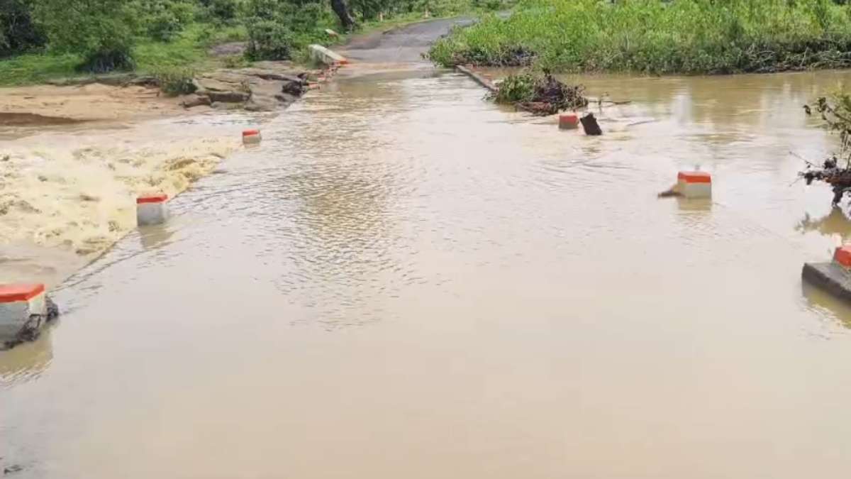 Anuppur News: तीन दिनों से लगातार हो रही बारिश से नदी-नाले उफान पर, कई गांवों का संपर्क टूटा, जन जीवन अस्त व्यस्त