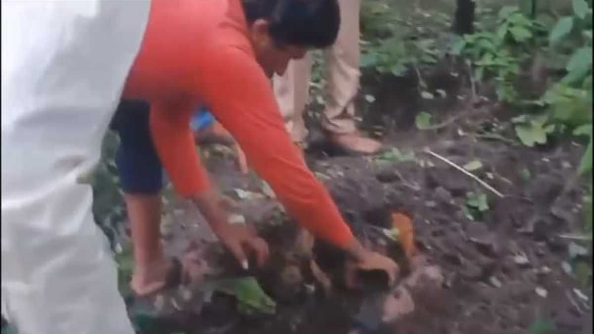 दोस्त ने पहले की हत्या फिर जंगल में कब्र खोदकर दफनाया, सनसनीखेज मामला जान दांतों तले दबा लेंगे उंगली
