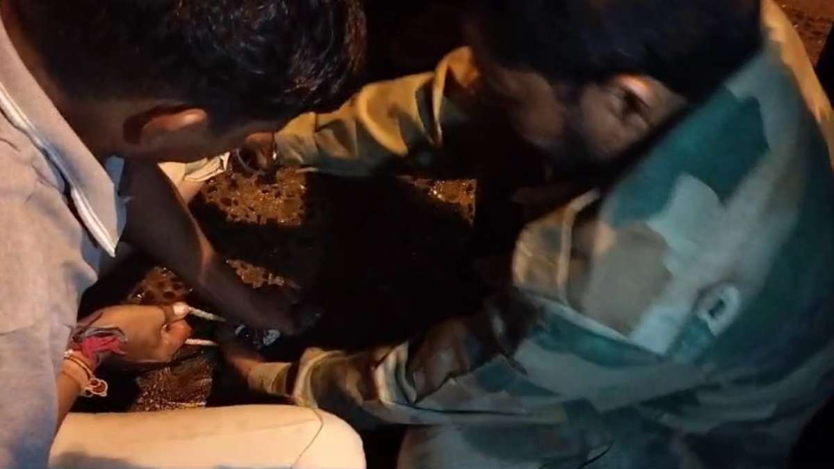 Viral Video: रेस्क्यू के दौरान मगरमच्छ ने खूब छकाया, हुआ कुछ ऐसा कि टीम के सदस्य की हलक में आई जान