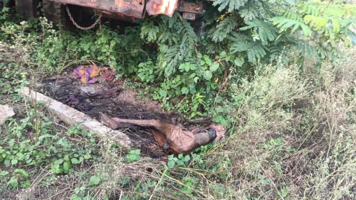 CG NEWS: महीने भर से लापता बुजुर्ग महिला का थाना परिसर में मिला शव, मचा हड़कंप