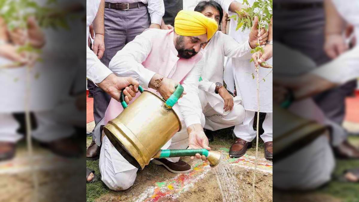 Punjab News: वन महोत्सव में सीएम मान ने लगाए पौधे, सुखबीर बादल पर साधा निशाना, बोले- माफी भूलों की होती है, गुनाहों की नहीं
