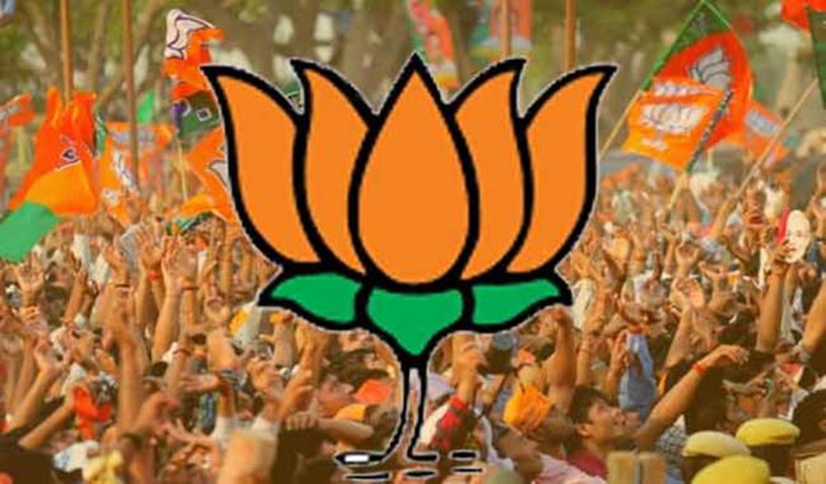 भाजपा अभी भी लोकसभा के परिणाम को भूली नहीं है!