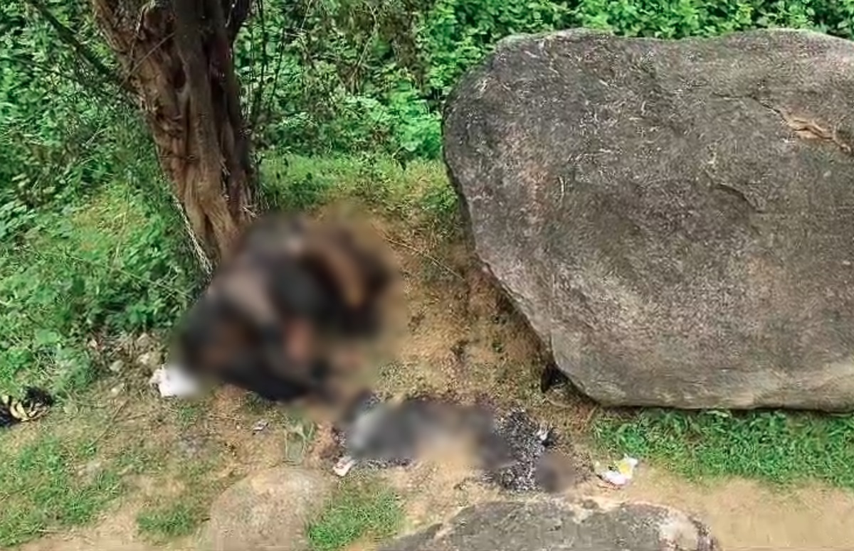 तालाब किनारे युवक-युवती का अधजला शव मिलने से सनसनी, जंजीर से बंधे थे दोनों के हाथ, जांच में जुटी पुलिस