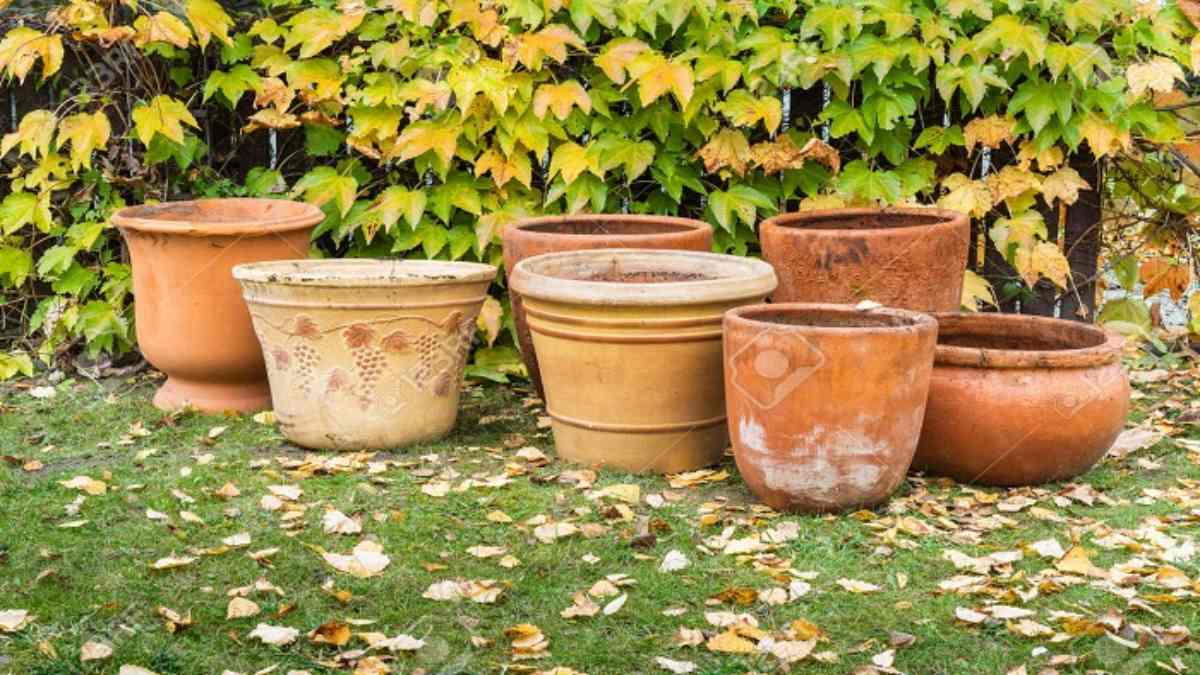 Vastu tips: घर की इस दिशा में जरूर रखें खाली गमला, जानिए क्या कहता है वास्तुशास्त्र…