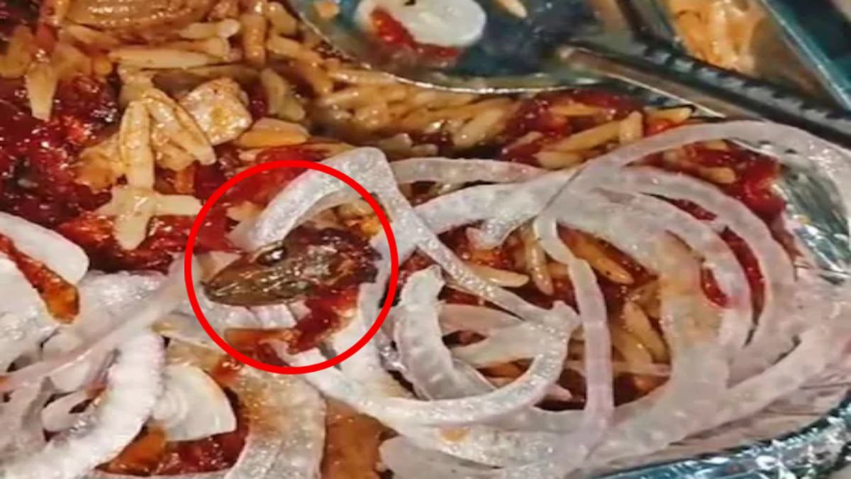 युवक ने फास्ट फूड की दुकान से करवाई Veg Biryani पैक, घर में खोलकर देखा तो उड़ गए होश